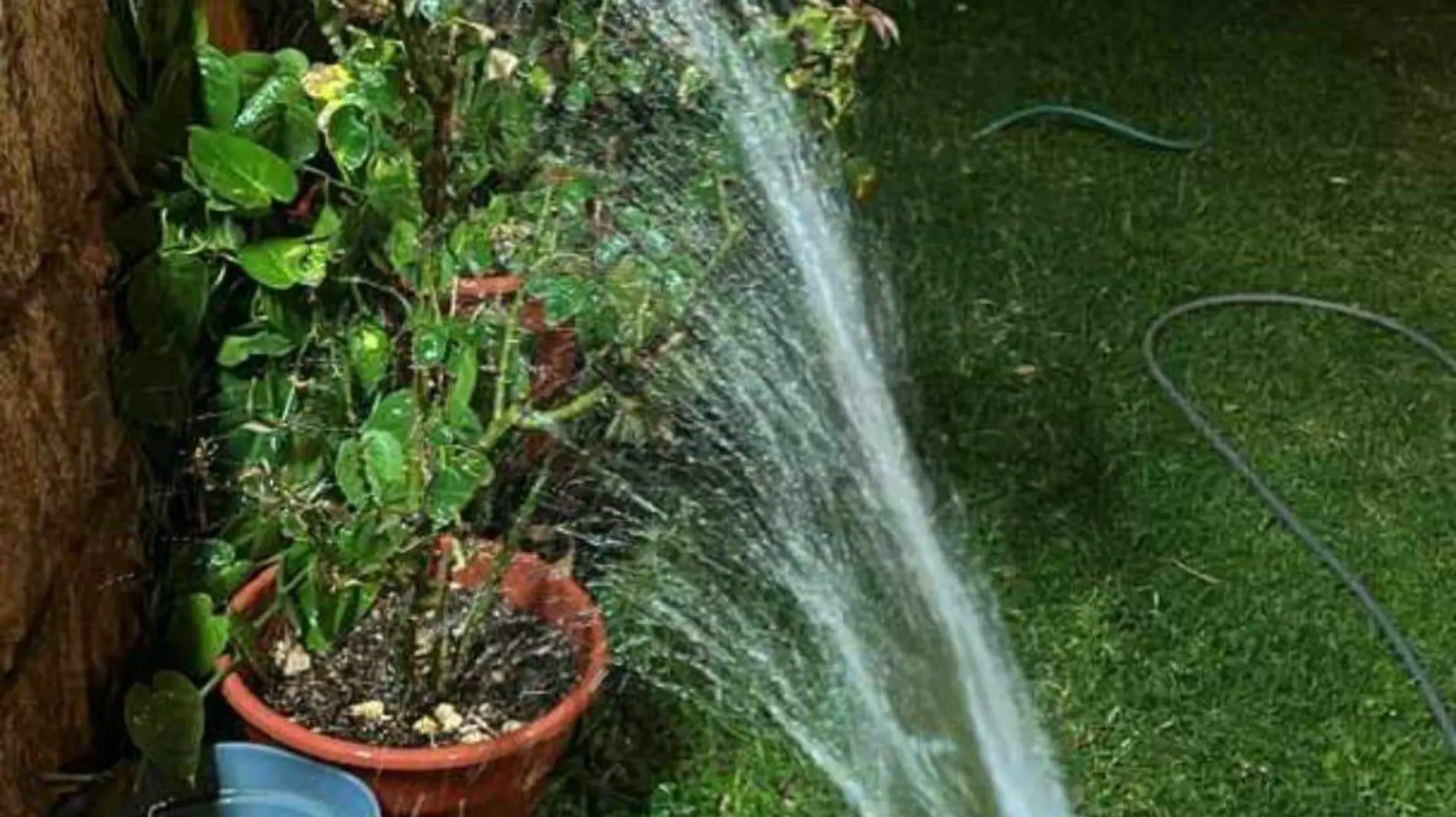 Exhorta Japami a no desperdiciar agua en Semana Santa (4)